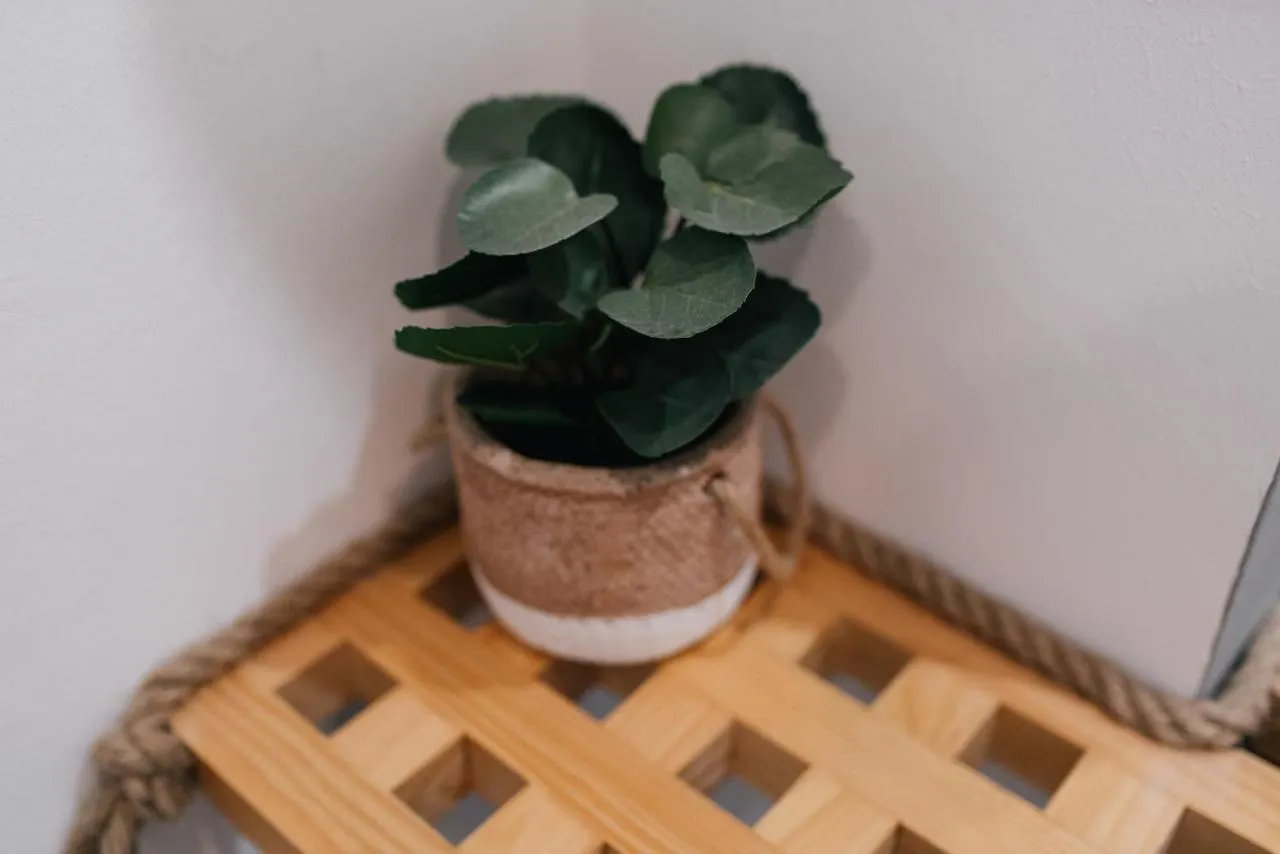 Apartamento Eva Recommends Capilla de la Jura en Jerez Jerez de la Frontera