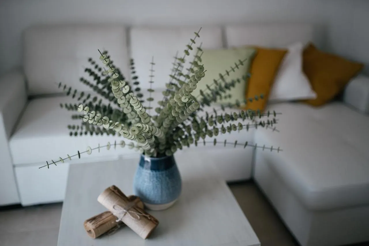 Apartamento Eva Recommends Capilla de la Jura en Jerez Jerez de la Frontera